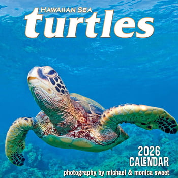 11x11 Wall 2026 Calendar - Turtle