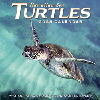 2025 Hawaiian Sea Turtles - 11x11 Wall Calendar